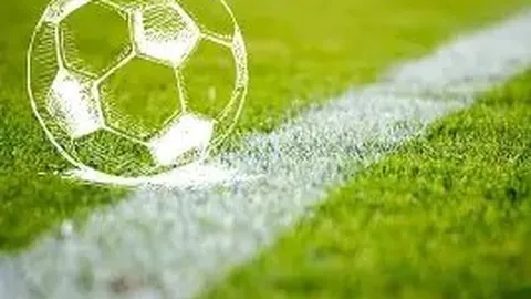 Pinbo拼搏体育平台 资讯 132638 oid