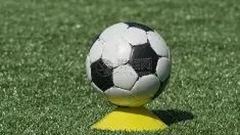 Pinbo拼搏体育平台 资讯 134211 l0l