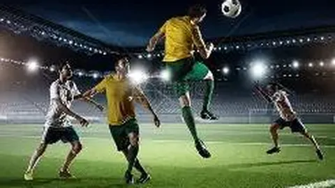 Pinbo拼搏体育平台 产品 134219 x7o