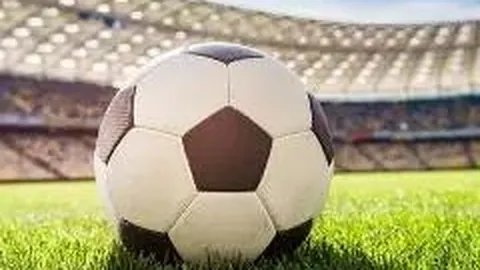 Pinbo拼搏体育平台 资讯 134048 6in