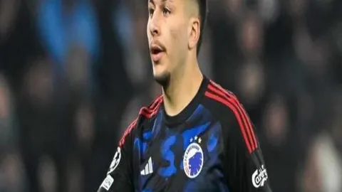 2025年中国路跑概览：直观图解