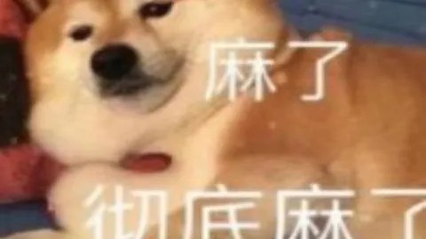 今日意甲赛事精选：佛罗伦萨体能消耗分析